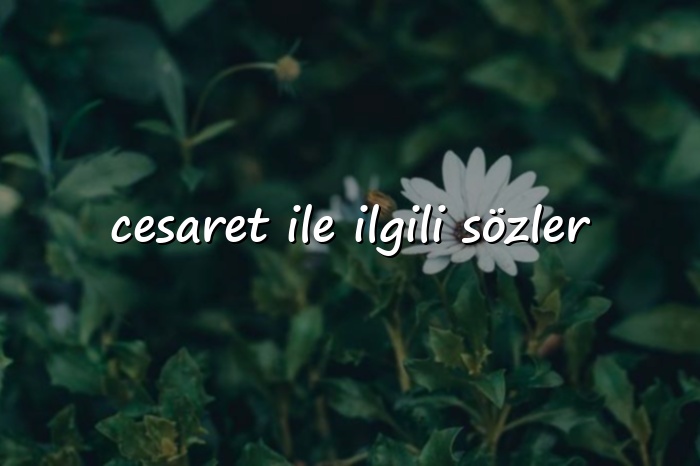 cesaret ile ilgili sözler - 2026