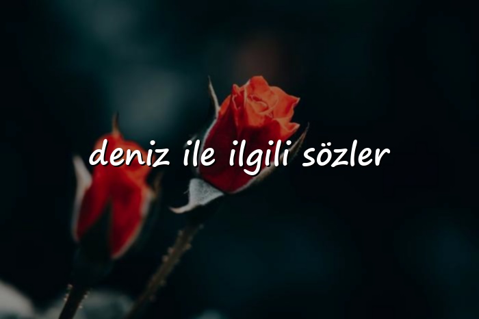 deniz ile ilgili sözler	 - 2026