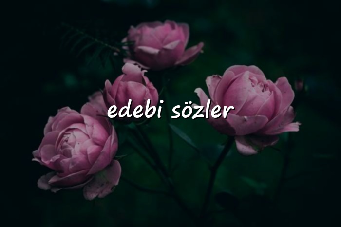 edebi sözler - 2026