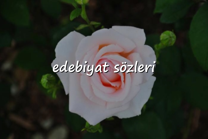 edebiyat sözleri - 2026