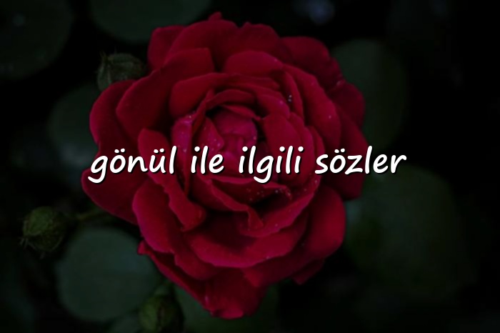 gönül ile ilgili sözler	 - 2026
