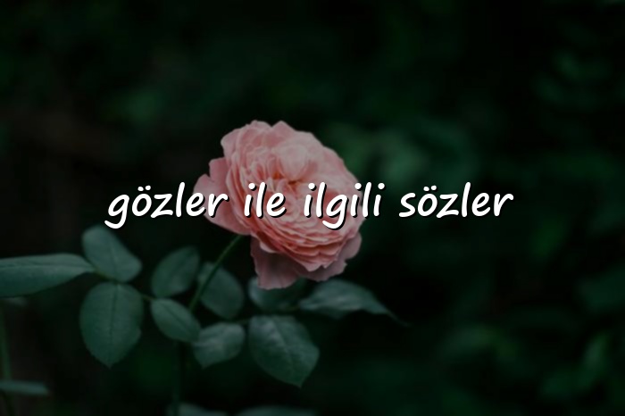 gözler ile ilgili sözler - 2026