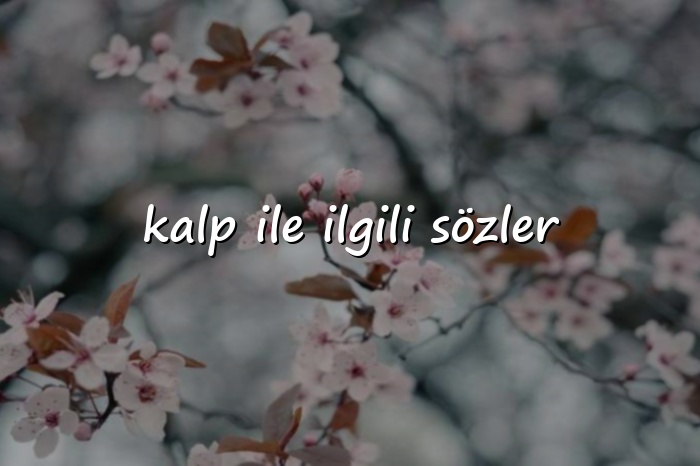 kalp ile ilgili sözler - 2026