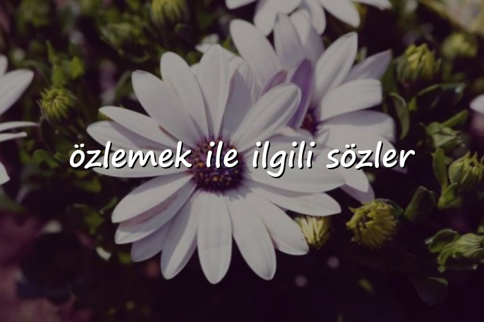 özlemek ile ilgili sözler - 2026