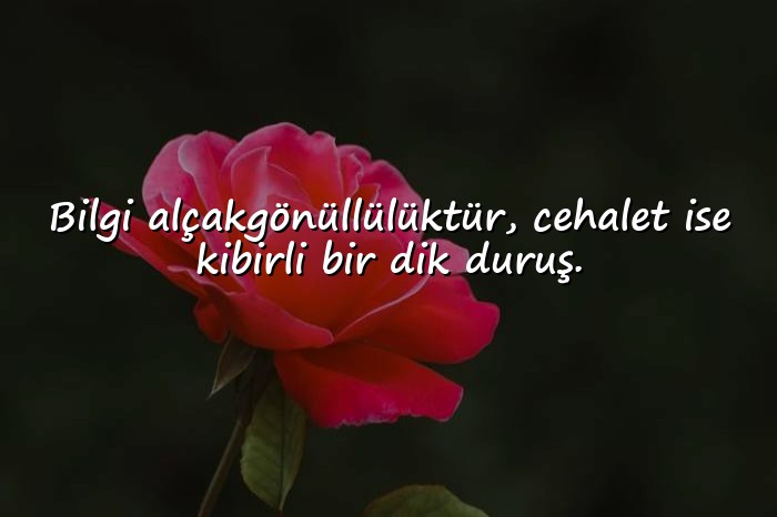 resimli cahil insanlara sözler - 11