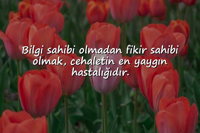 resimli cahil insanlara sözler - 6