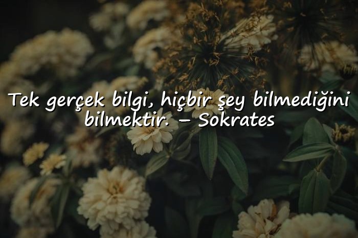 resimli cahillikle ilgili sözler - 6