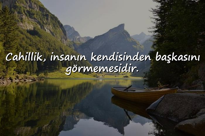 resimli cahillikle ilgili sözler - 1