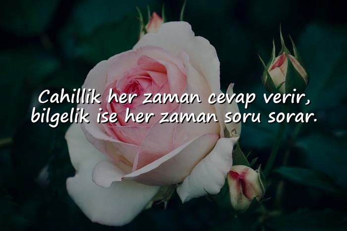 resimli cahillikle ilgili sözler - 21