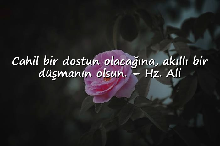 resimli cahillikle ilgili sözler - 16