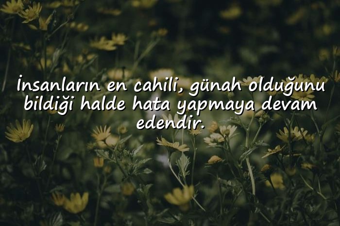 resimli cahillikle ilgili sözler - 11