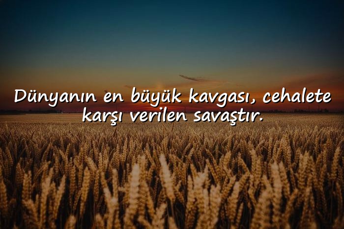 resimli cahillikle ilgili sözler - 1