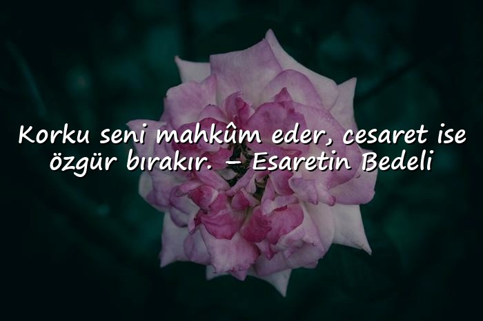 resimli cesaret ile ilgili sözler - 4