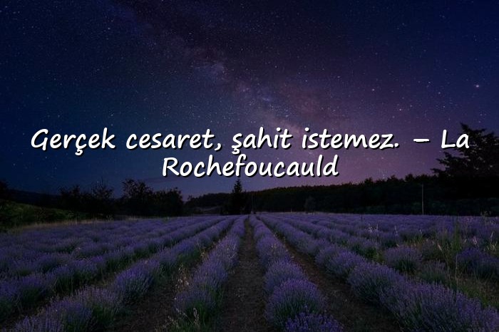 resimli cesaret ile ilgili sözler - 24