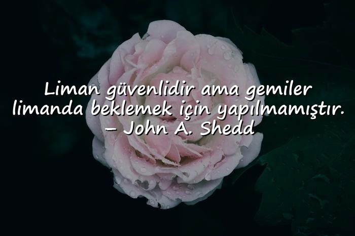 resimli cesaret ile ilgili sözler - 19