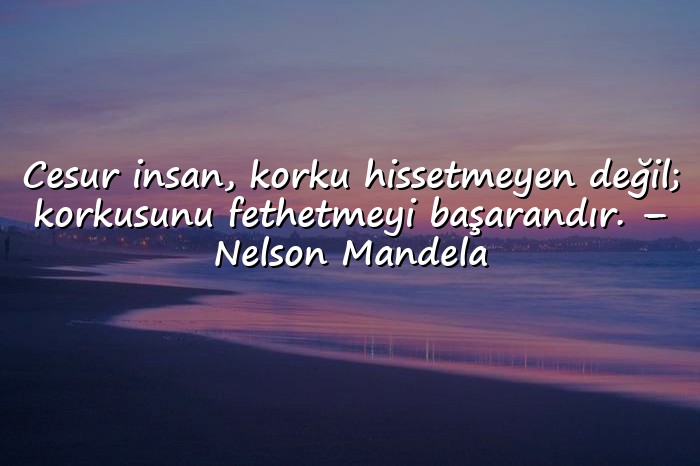 resimli cesaret ile ilgili sözler - 14