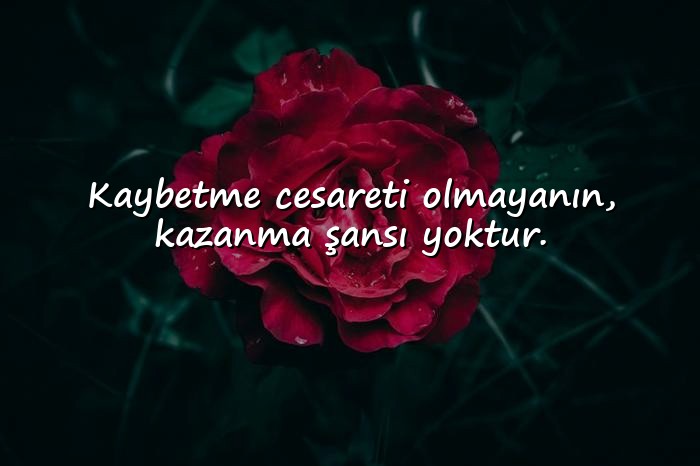 resimli cesaret ile ilgili sözler - 9