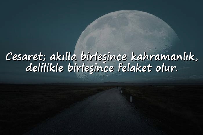 resimli cesaret ile ilgili sözler - 4