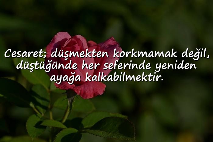 resimli cesaret ile ilgili sözler - 1