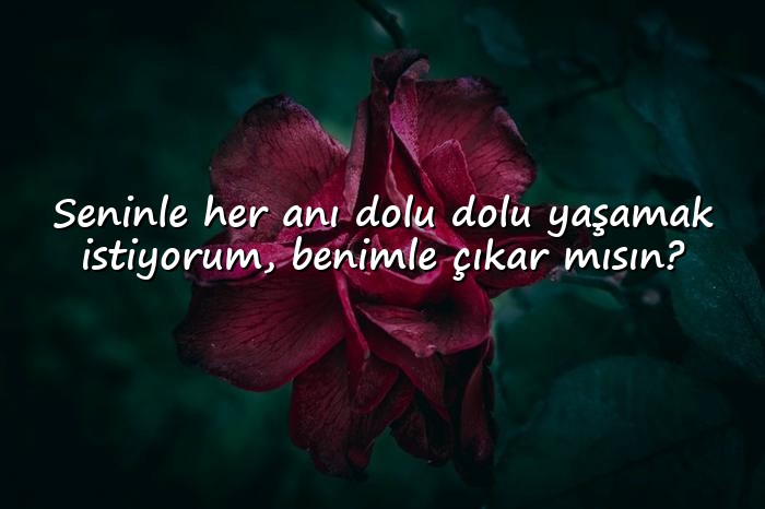 resimli çıkma teklifi sözleri - 16