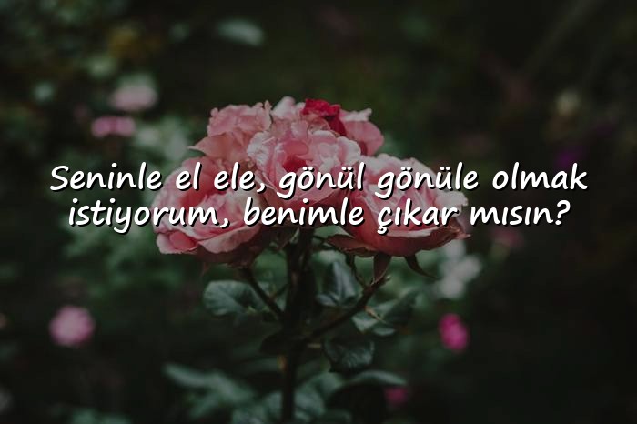 resimli çıkma teklifi sözleri - 6