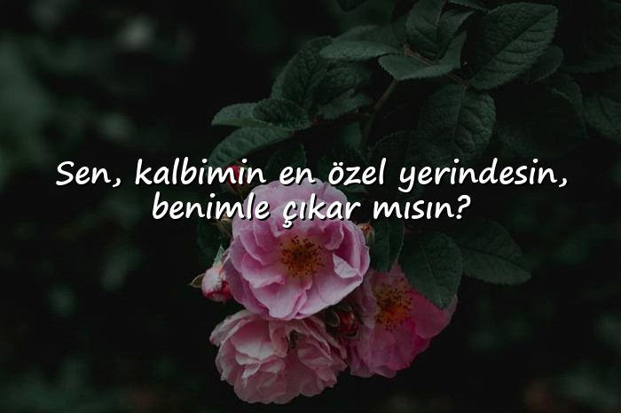 resimli çıkma teklifi sözleri - 1