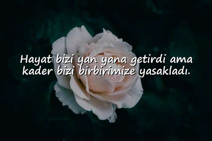 resimli damar sözler - 14