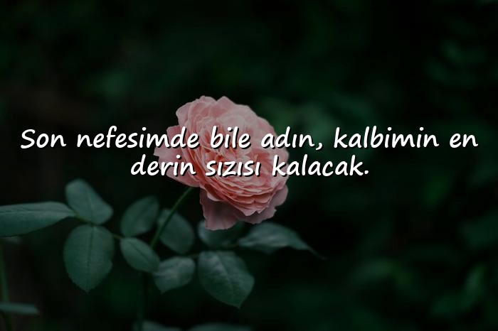resimli damar sözler - 1
