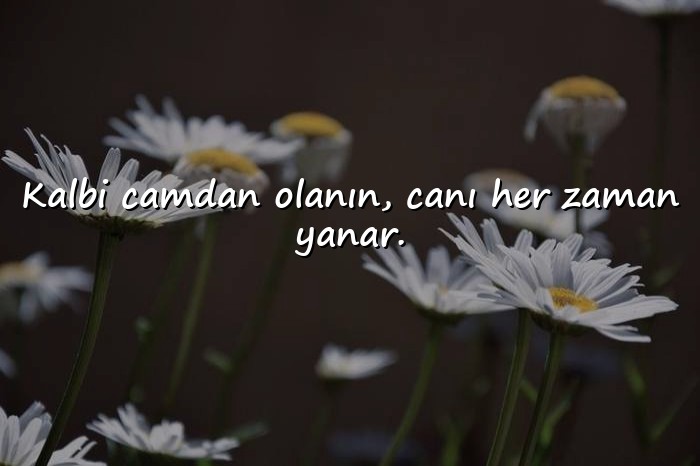 resimli damar sözler kısa	 - 6