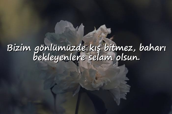 resimli damar sözler kısa	 - 1