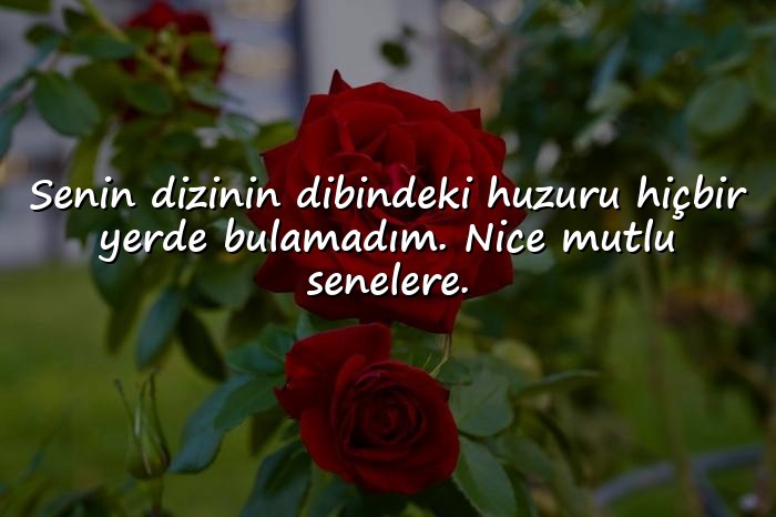resimli dedeye doğum günü sözleri - 11