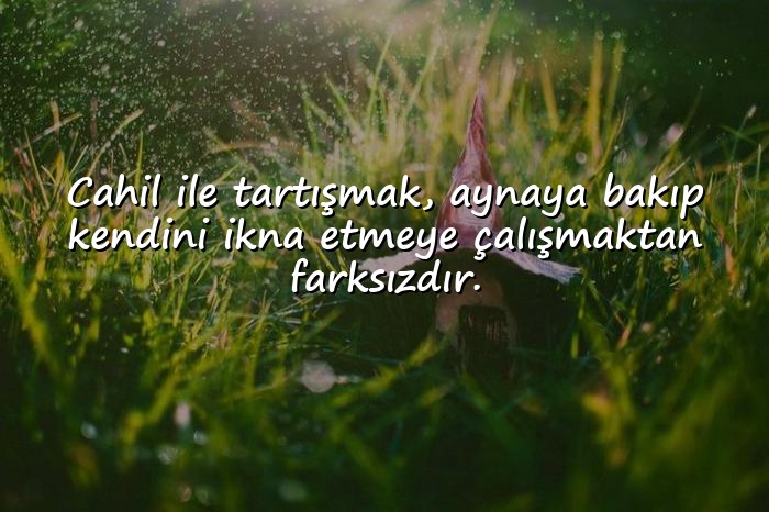 resimli değer ile ilgili sözler	 - 6