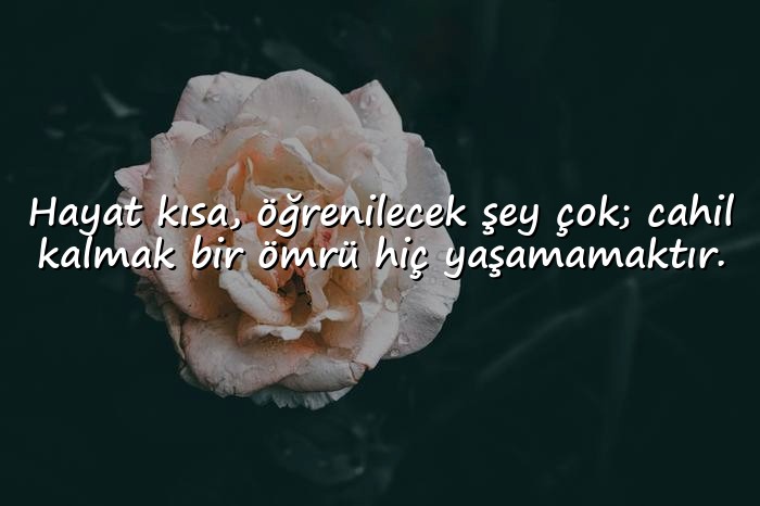 resimli değer ile ilgili sözler	 - 6