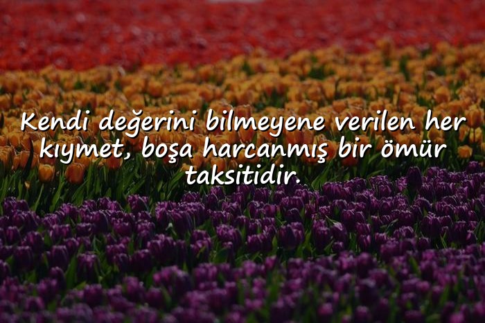 resimli değer vermek ile ilgili sözler - 6