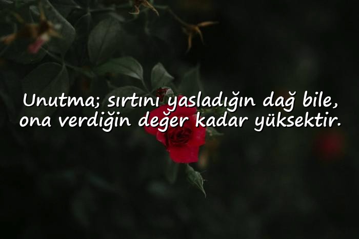 resimli deger vermekle ilgili sözler - 6