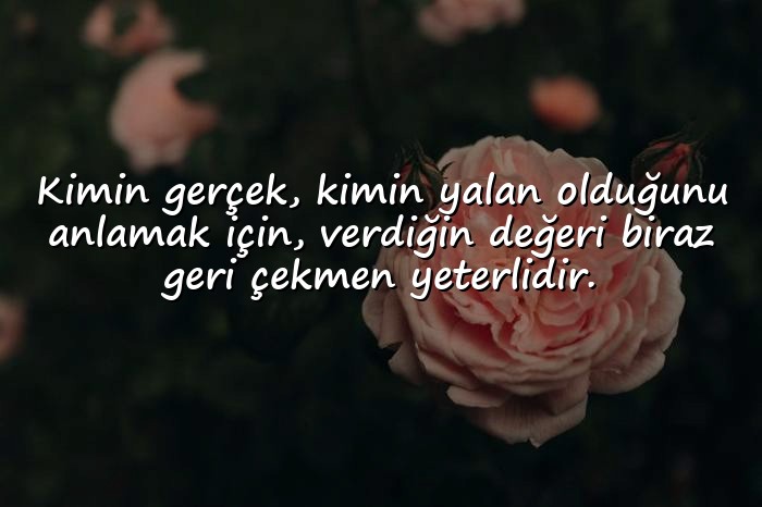 resimli deger vermekle ilgili sözler - 1