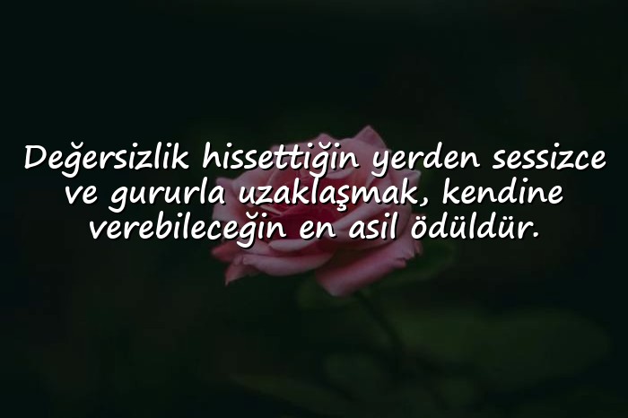 resimli değersizlik sözleri - 1