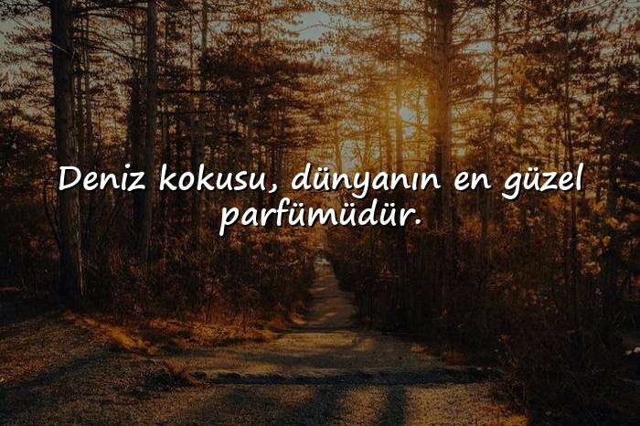resimli deniz ile ilgili sözler	 - 1