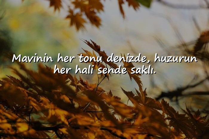 resimli deniz ile ilgili sözler	 - 6
