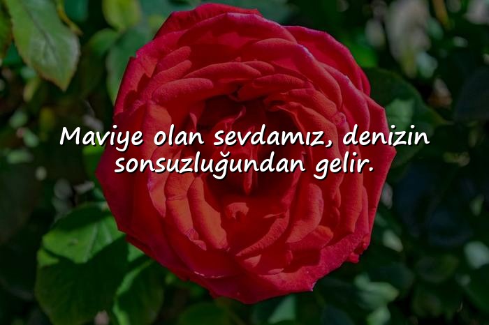 resimli deniz ile ilgili sözler	 - 1