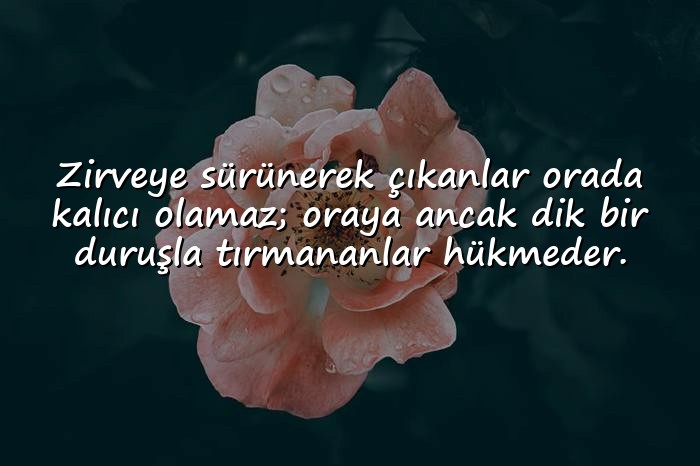resimli dik duruş sözleri - 21