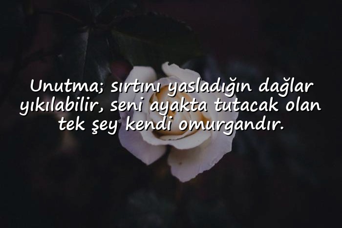 resimli dik duruş sözleri - 1