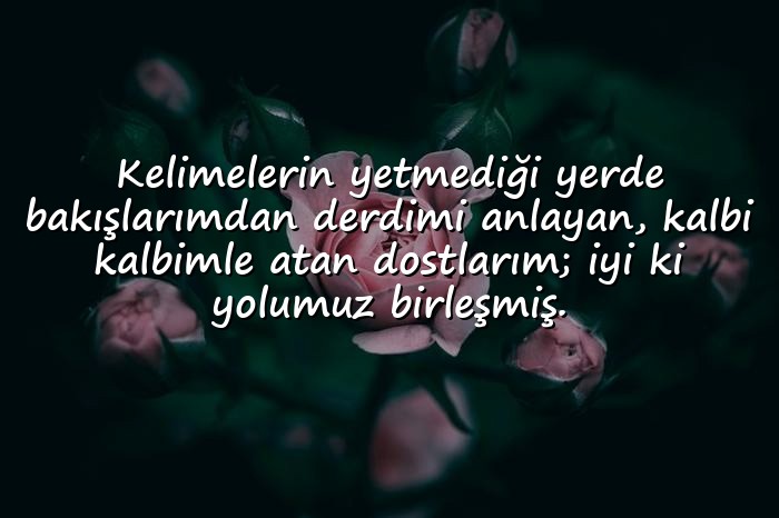 resimli doğa ile ilgili sözler - 6