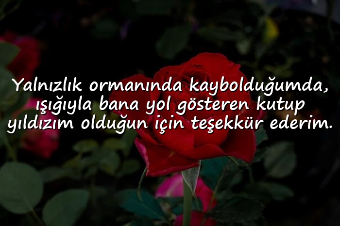 resimli doğa ile ilgili sözler - 1