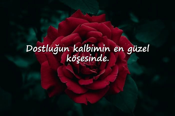 resimli doğa ile ilgili sözler - 11