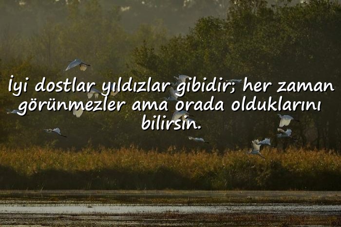 resimli dost ile ilgili sözler - 1