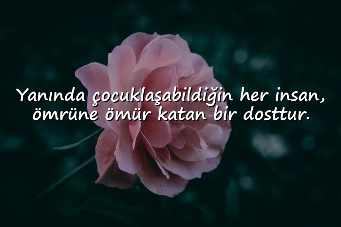 resimli dost ile ilgili sözler - 21