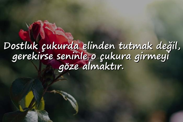 resimli dost ile ilgili sözler - 16