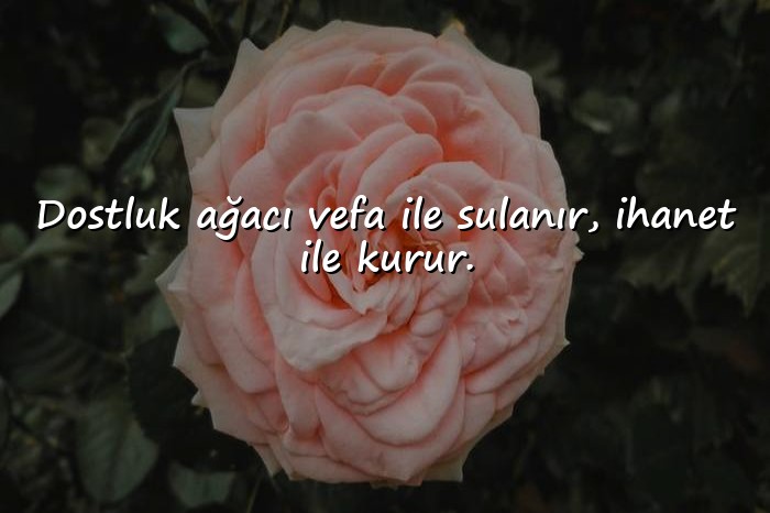 resimli dost ile ilgili sözler - 11