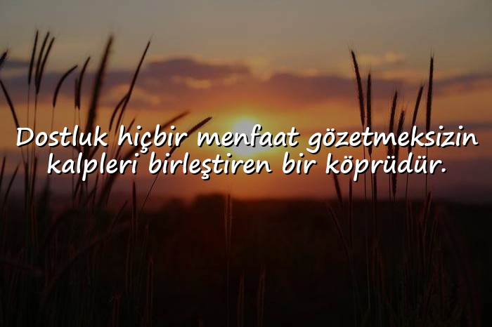 resimli dost ile ilgili sözler - 6